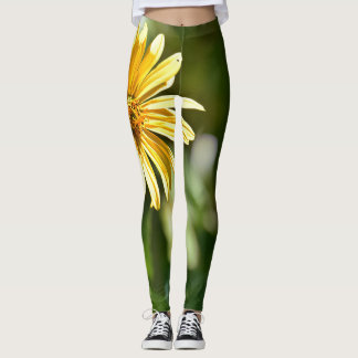Leggings de girassol