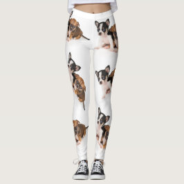 Leggings De Mulheres Brancas Com Foto Chihuahua