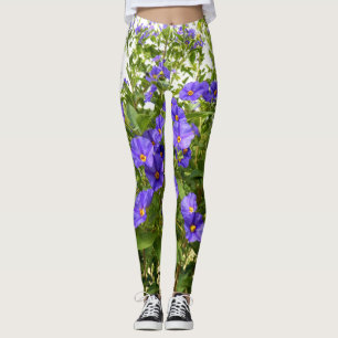 Leggings de Sísirinchium Angustifolium
