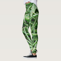 Leggings do Green Beans