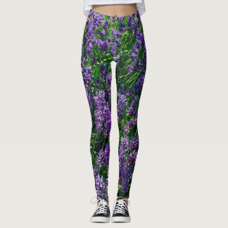 Leggings dos Campos de lavanda