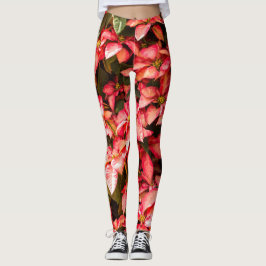 Leggings Flor de Natal Poinsettia