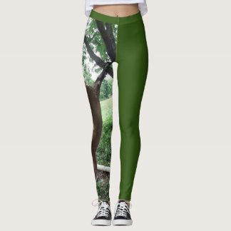 Leggings Gananciosas