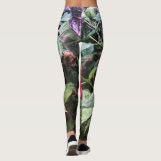 Leggings Hibiscus