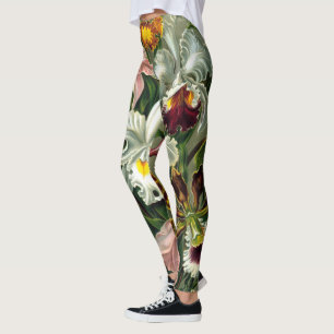 Leggings Orchidaceae de Ernst Haeckel