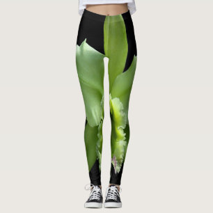 Leggings orquídeas verdes limões em um fundo preto