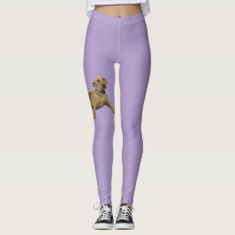 Leggings Purple Airedale