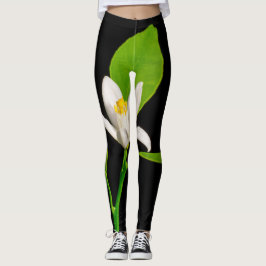 Leggings QATTOOS