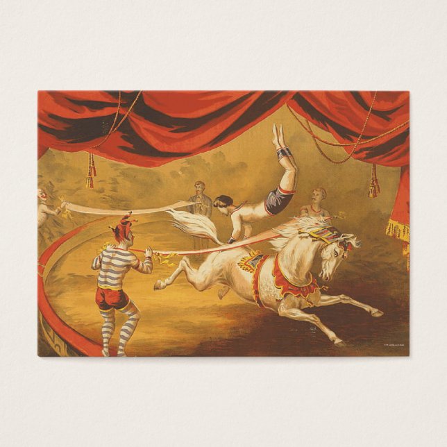 Lei relativa ao Circus do TEE (Frente)