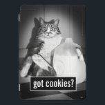 Leite De Bebendo De Gato De Jug<br><div class="desc">Tem biscoitos? | Avanti,  a Marca Humor Global™ tem entretido o mundo com seus cartões de saudação Sentir-se bem engraçado por mais de 40 anos. Nossas personagens vivem a vida ao máximo e celebram o humor no dia a dia.</div>