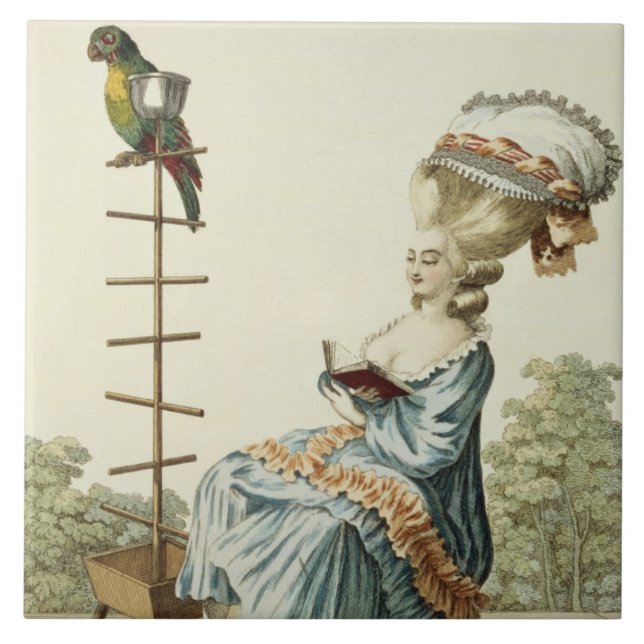 Leitura da jovem mulher em um vestido do dia com (Frente)