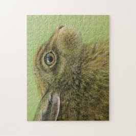 Leitura de coelho, belas pinturas, quebra-cabeça d