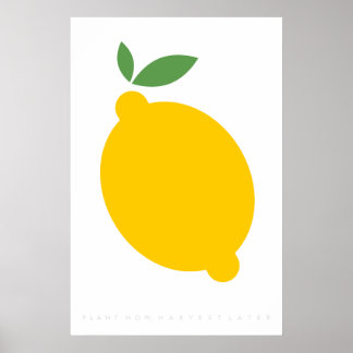 Lema Amarelo - Poster da década de 70