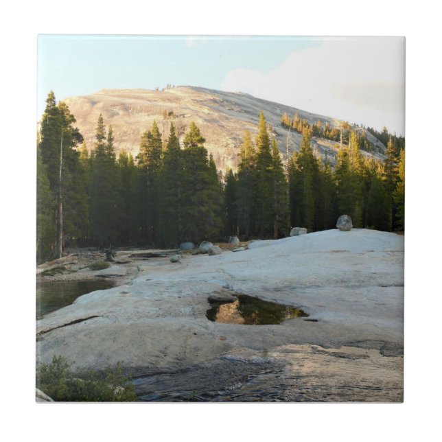Lembert Dome em Tuolumne Meadows, Yosemite, CA (Frente)
