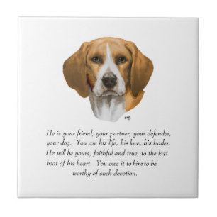 Lembrança de Beagle MACHO