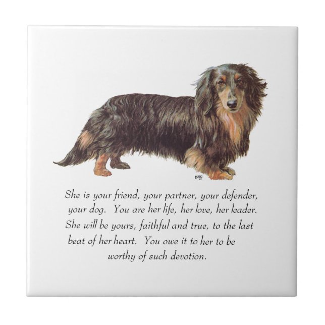 Lembrança de Dachshund - Fêmea (Frente)