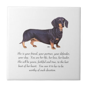 Lembrança de Dachshund - Fêmea