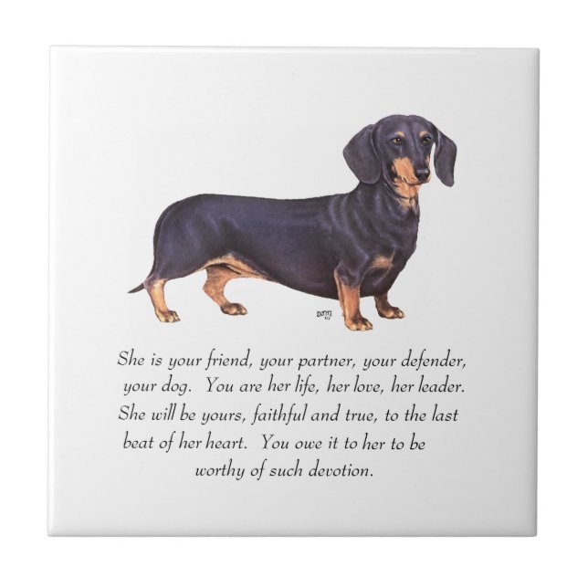 Lembrança de Dachshund - Fêmea (Frente)