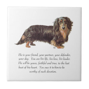 Lembrança de Dachshund - Macho