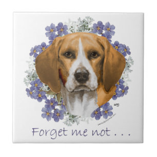 Lembrança do Beagle