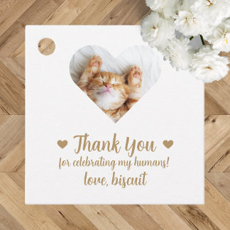 Lembrancinhas Etiquetas Personalizadas de Foto de Gato para Pres
