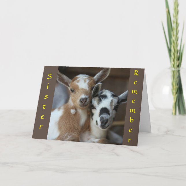 LEMBRE-SE DE QUANDO ÉRAMOS CARTÃO DA IRMÃ DAS CRIA (Frente)