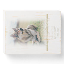 Lembre-Se Minimalista Amado Um Pet Passou Fora