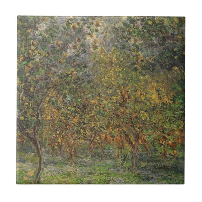 Lemon Grove em Bordighera por Claude Monet (Frente)
