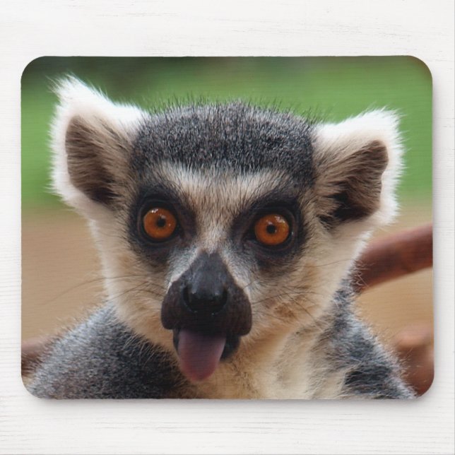 Lemur Mousepad (Frente)