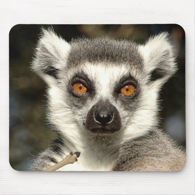 Lemur Mousepad (Frente)