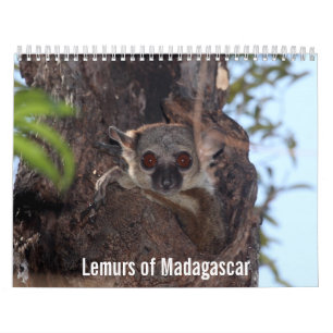 Lemurs do calendário de Madagascar