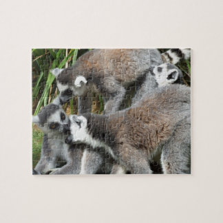 Lemurs Jigsera Quebra-cabeça