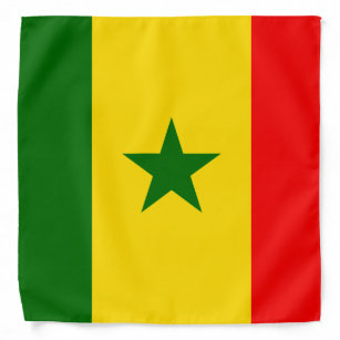 Bandeira do senegal