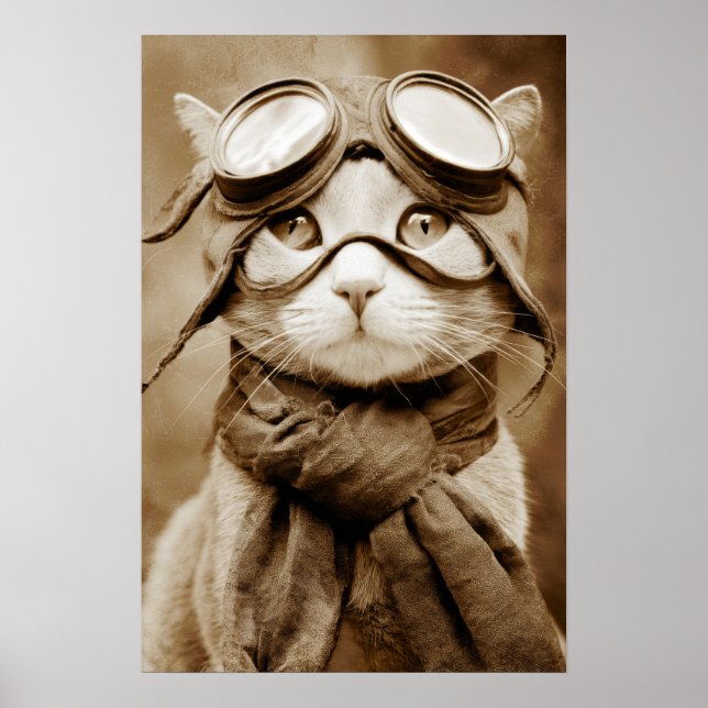 Lenço de Gato com Óculos Vintage Impressão Retro (Frente)