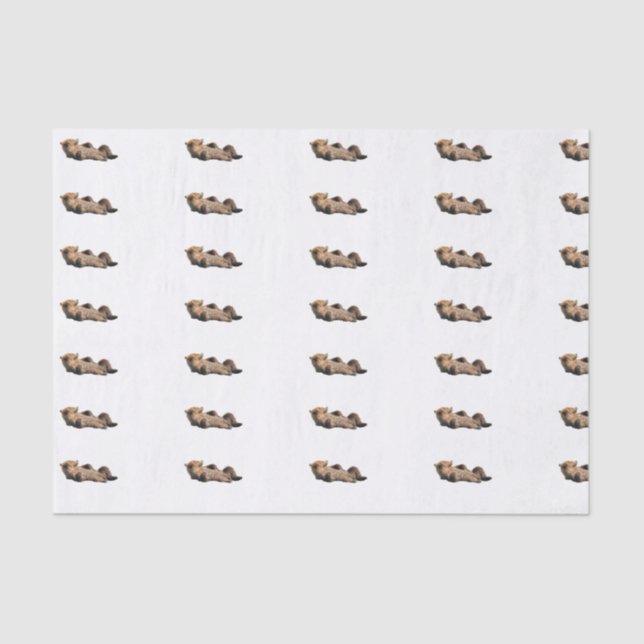 Lenço de papel 10lb feito sob encomenda, branco (Frente )