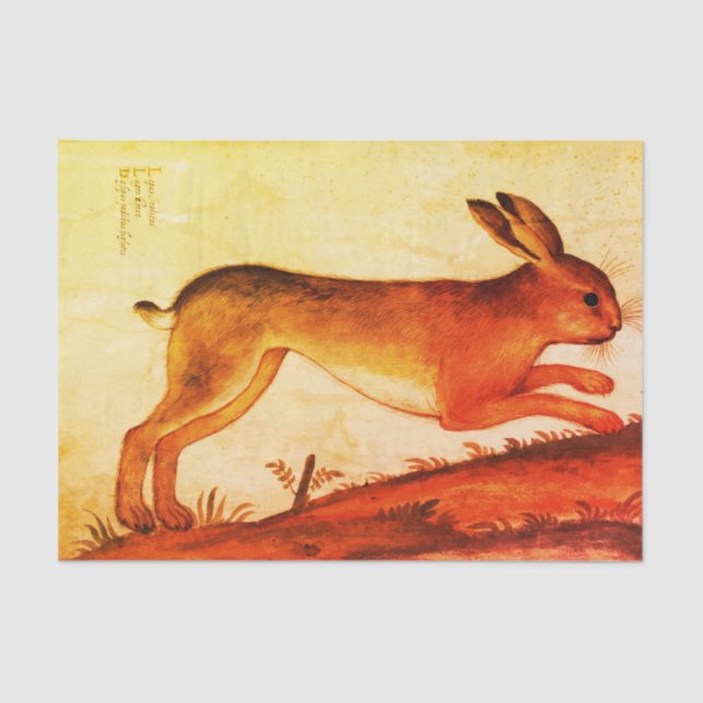 Lenço de papel 10lb feito sob encomenda do COELHO (Frente )