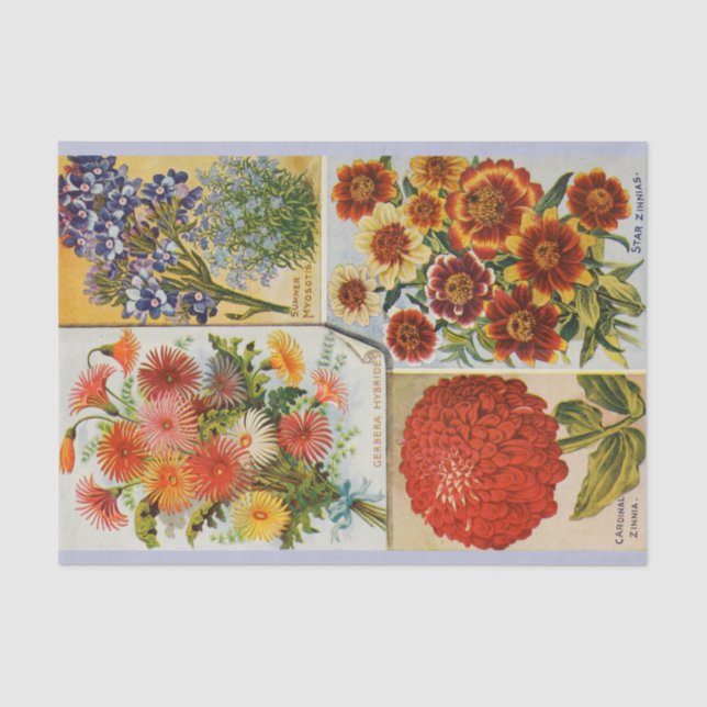 Lenço de papel brilhante antigo da flor do verão (Frente )