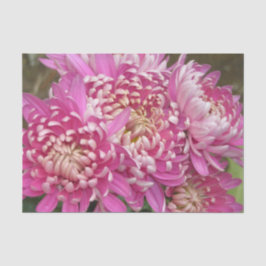 Lenço de papel cor-de-rosa bonito