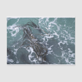 Lenço de papel da alga