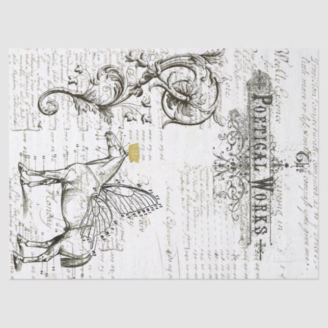 Lenço de papel da colagem de Digitas do roteiro do (Frente )