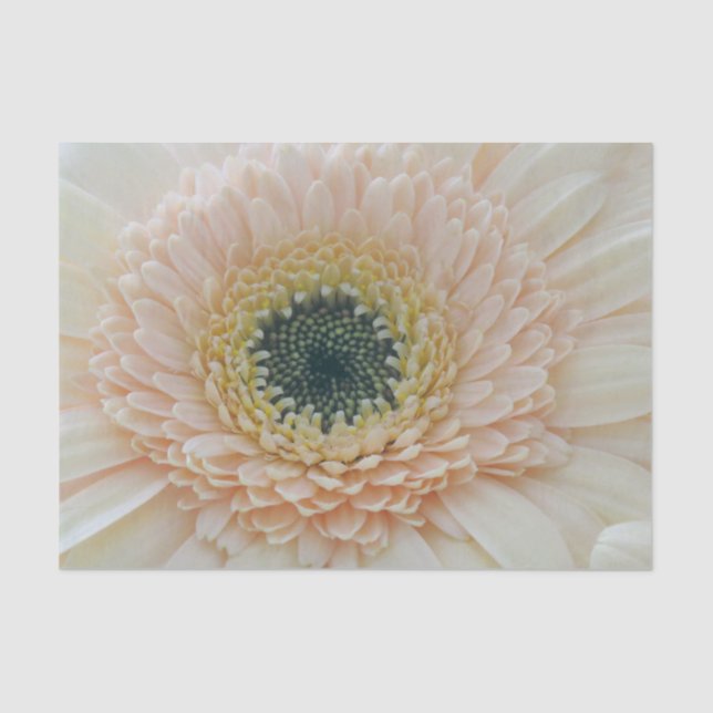 Lenço de papel da flor (Frente )