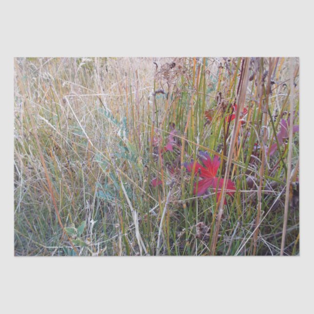 Lenço de papel da folha da queda (Frente )