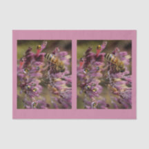 Lenço de papel das abelhas da bolha