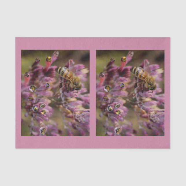 Lenço de papel das abelhas da bolha (Frente )