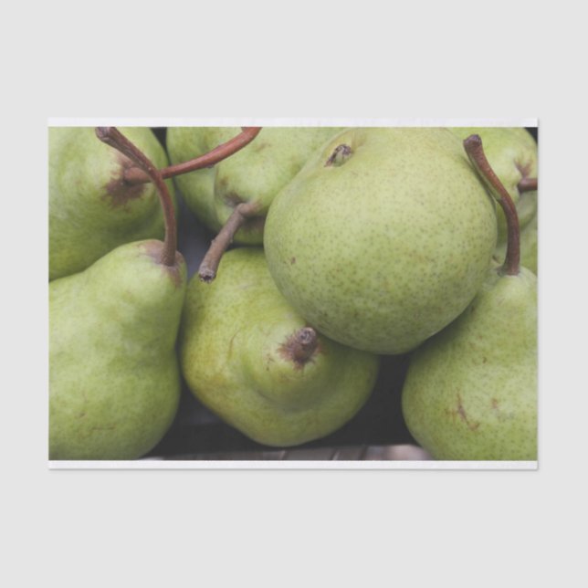 Lenço de papel das peras (Frente )