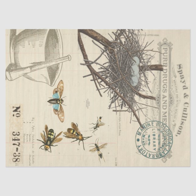 Lenço de papel de Decoupage do Apothecary da (Frente )