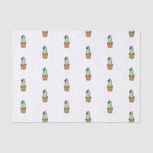 Lenço de papel do cacto