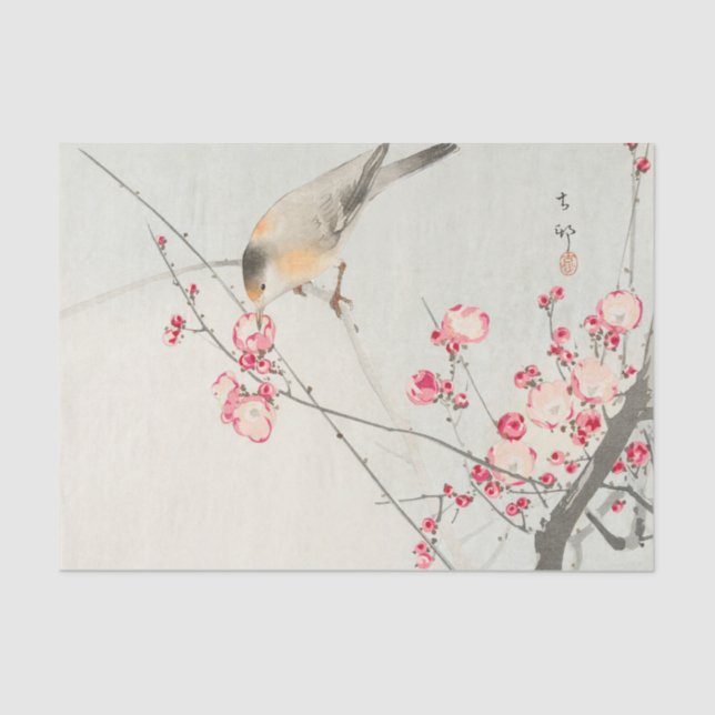 Lenço de papel do pássaro (Frente )