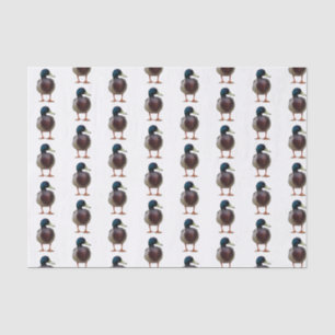 Lenço de papel do pato do pato selvagem