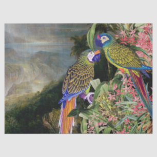 Lenço de papel dos animais da floresta tropical do